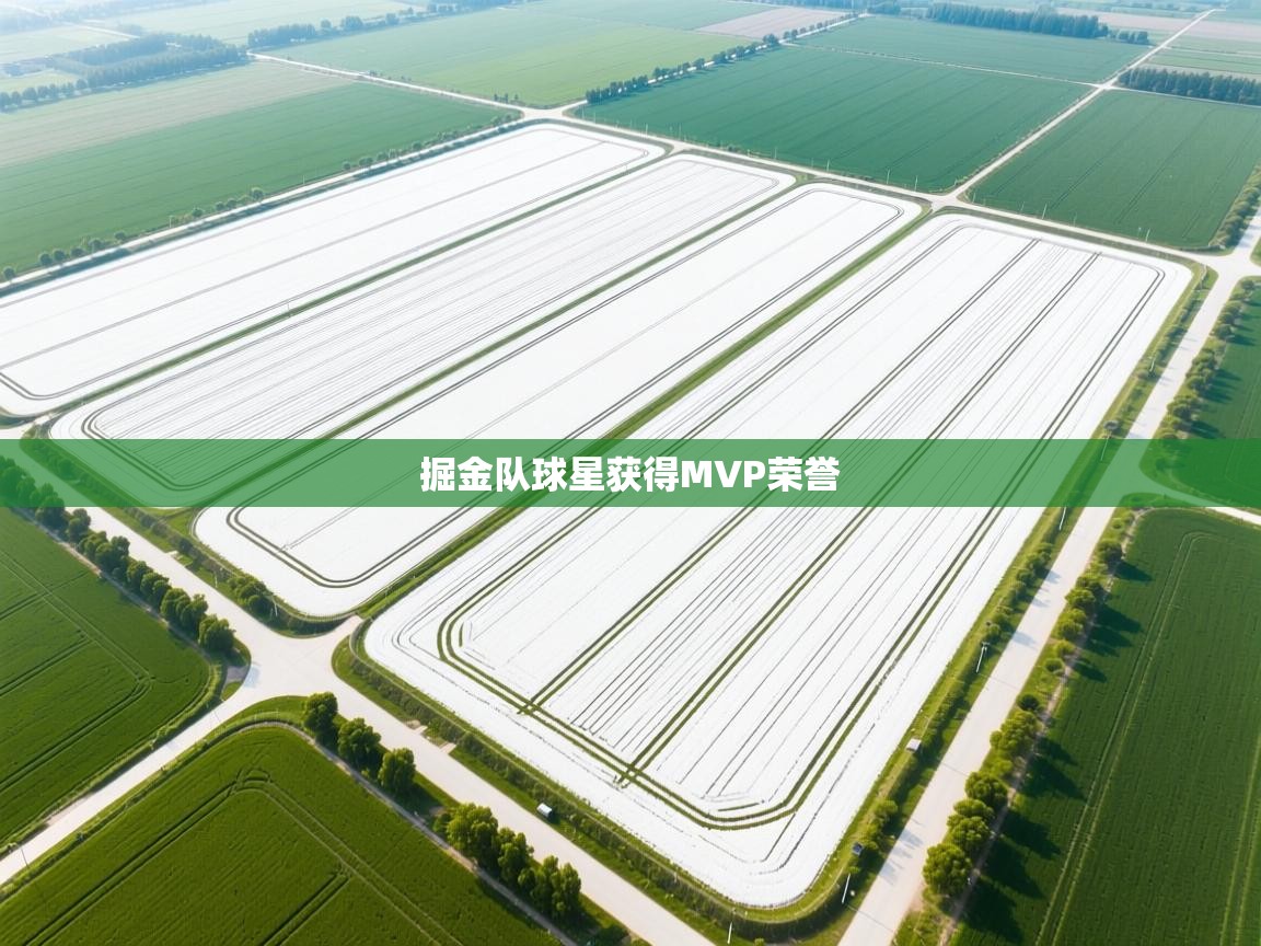 爱游戏体育娱乐罗马赞助商-掘金队球星获得MVP荣誉