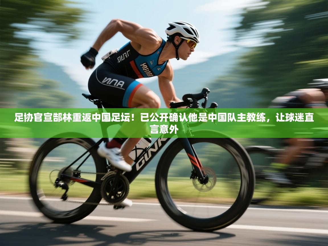 爱游戏体育下载-足协官宣郜林重返中国足坛！已公开确认他是中国队主教练，让球迷直言意外  第2张