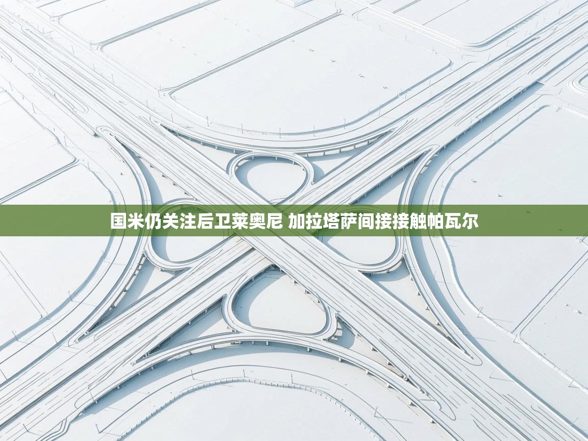 爱体育游戏网站-国米仍关注后卫莱奥尼 加拉塔萨间接接触帕瓦尔  第4张