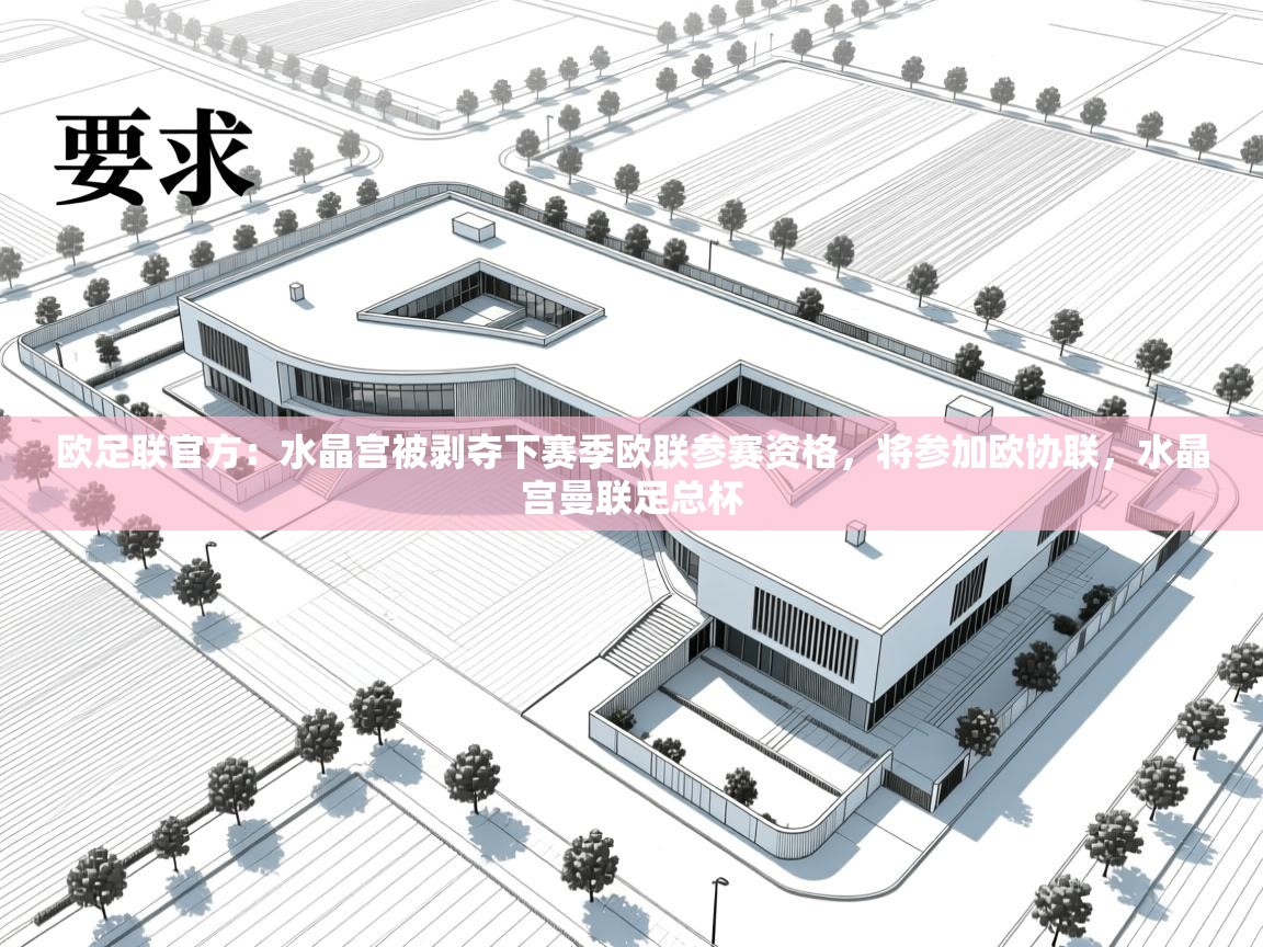 爱游戏体育娱乐赞助罗马-欧足联官方:水晶宫被剥夺下赛季欧联参赛资格,将参加欧协联,水晶宫曼联足总杯 第4张
