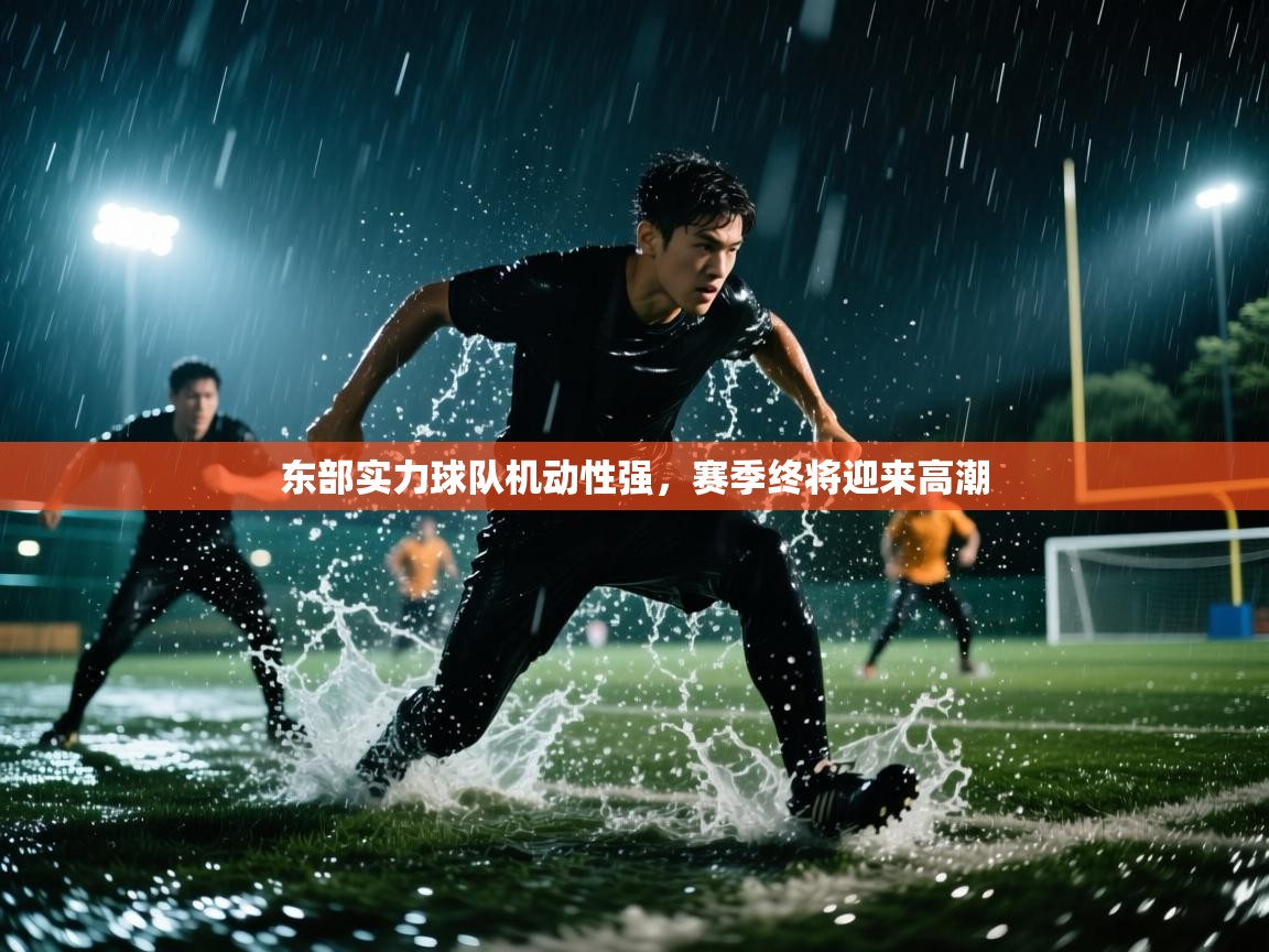 爱游戏ayx官网下载-东部实力球队机动性强，赛季终将迎来高潮  第2张